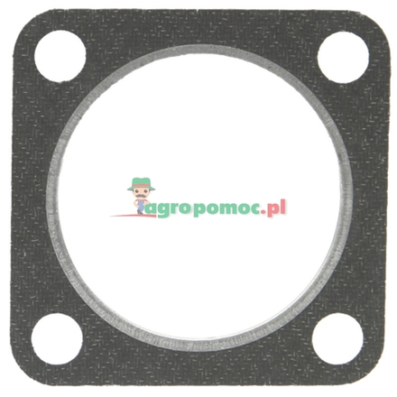  Gasket | F181201010010