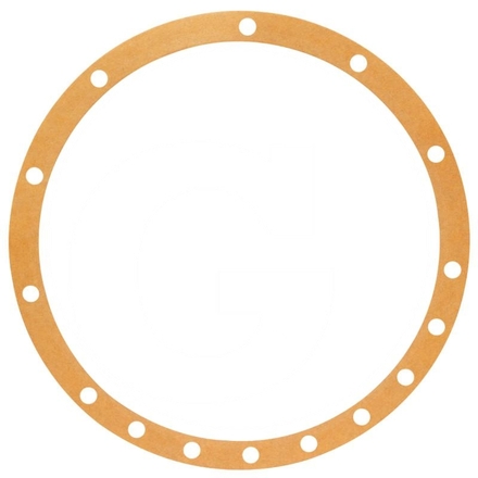  Gasket | 183254M1