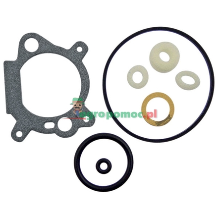  Gasket kit | 498260, 493762, 492495, 498261, 398183, 490937