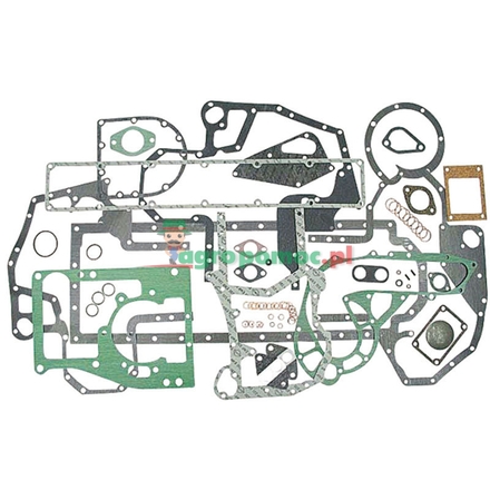  Gasket set | 1967013C1