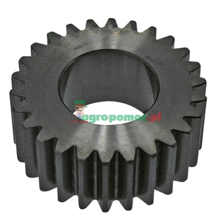  Gearwheel | F174300020280