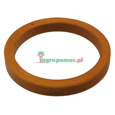  Guard ring | 04383807