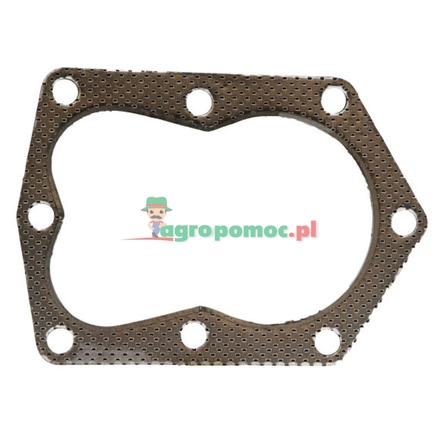  Head gasket | 224-15101-11, 224-15101-03