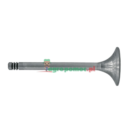  Inlet valve | F384200210090