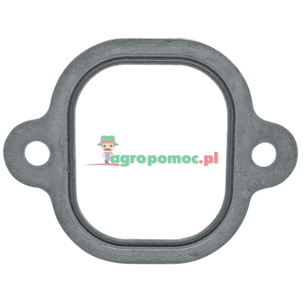  Intake manifold gasket | 4571410080
