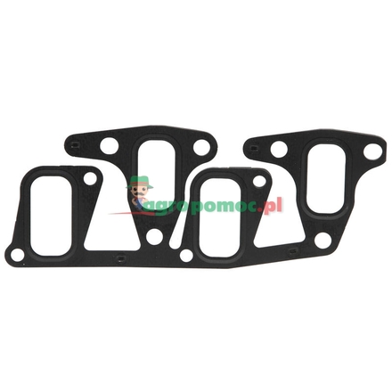  Intake/exhaust gasket | 442545A1, 293159A1