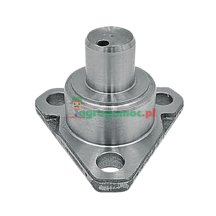  King pin | F380303020490