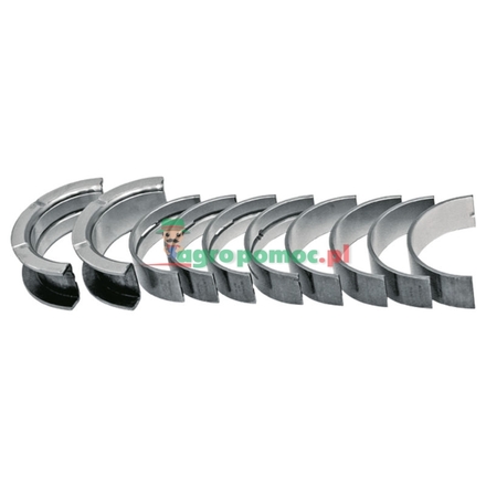  Main bearing set | 87554568