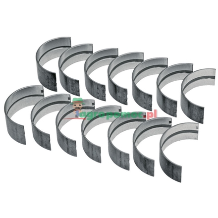  Main bearing set | 3637020M91, 68079