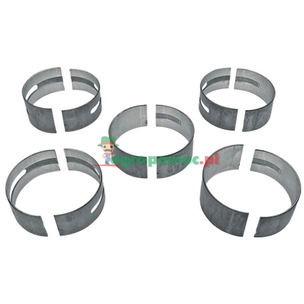  Main bearing set | 735168M91, 81558