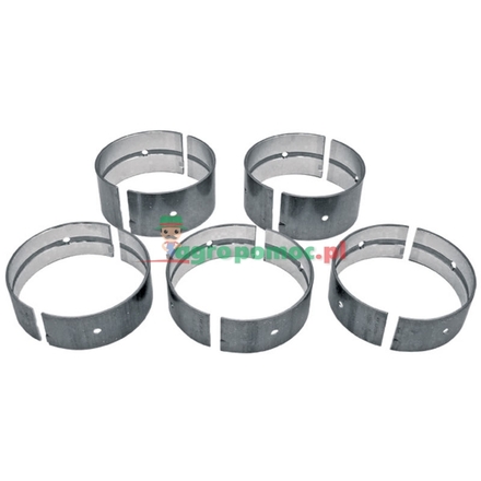  Main bearing set | 81823481