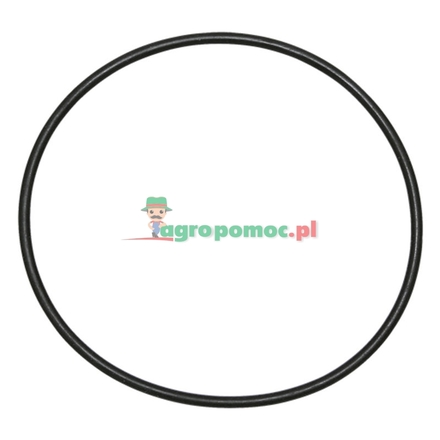  O-ring