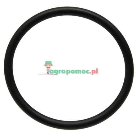  O-ring | 01174706