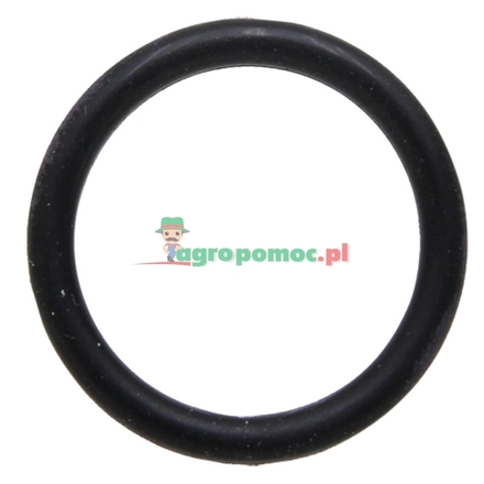  O-ring | R518543