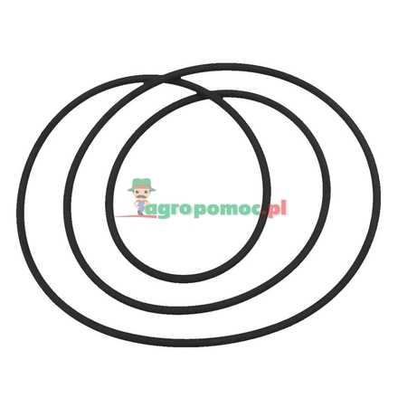  O-Ring | 190003120787, 47107950