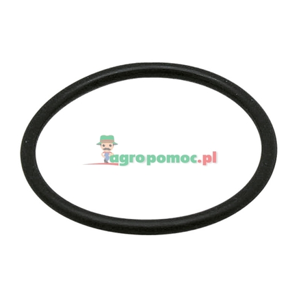  O-ring | 3147943R1