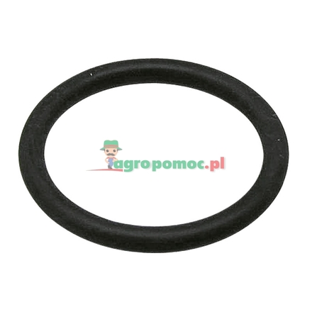  O-ring | 01170587