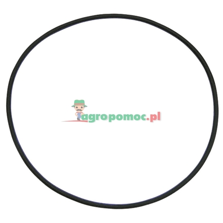  O-ring | X548973566000