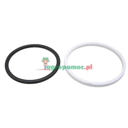  O-ring | 3761477M1 + 3761474M1, 1665684M91