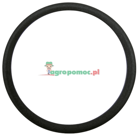  O-ring | 3761475M1