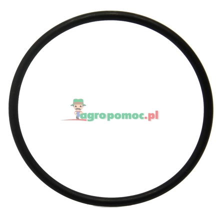  O-ring | 3823623M1