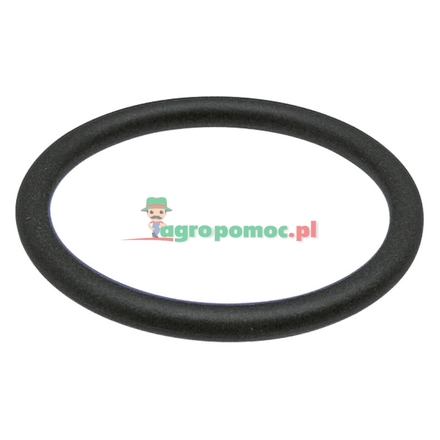  O-ring | 14471280