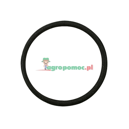  O-Ring | 81296C1