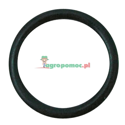  O-Ring | 3146701R1