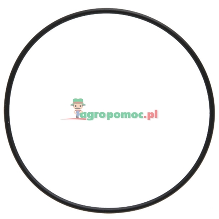  O-Ring | 1-33-742-035