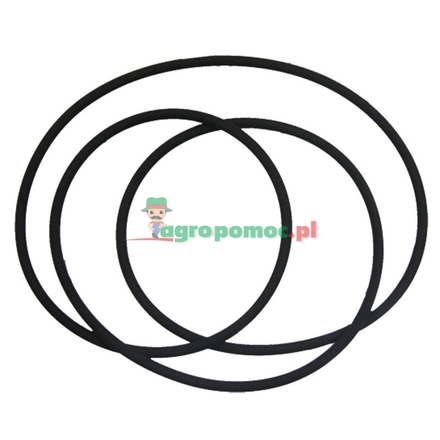  O-Ring | 2.1530.308.0