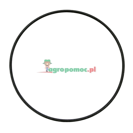  O-Ring | X548957566000