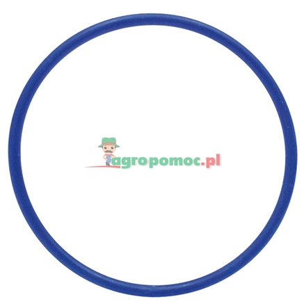  O-ring | F395301020460
