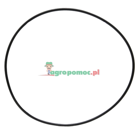  O-Ring | X568013000000