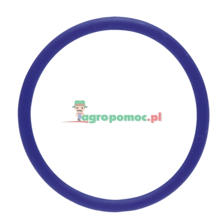  O-Ring | F168302020520