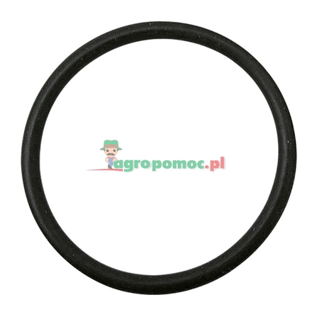  O-ring | 81669C1