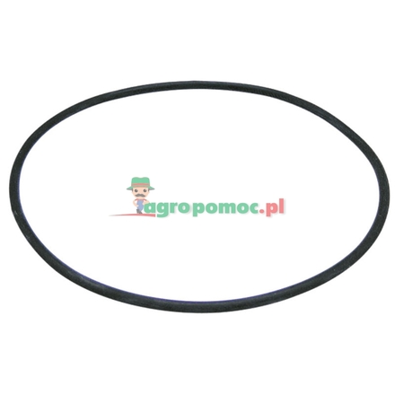  O-Ring | 4966231