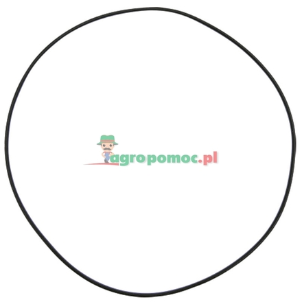  O-Ring | CAR028498, 137700410805