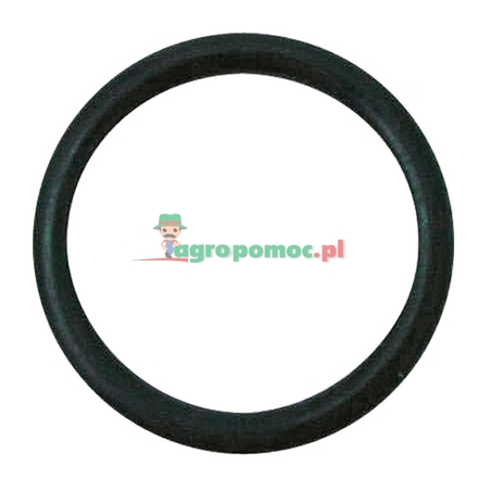  O-Ring | X548924444000