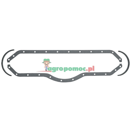  Oil sump gasket | 3520100580