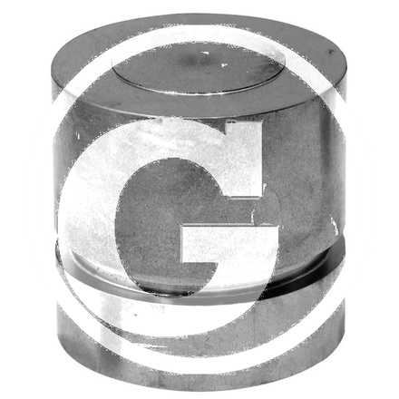  Piston | G238860030021