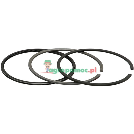  Piston ring set | 3641316M91
