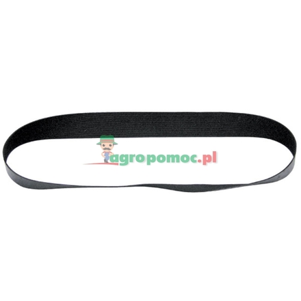  Poly V-belt | 200060339