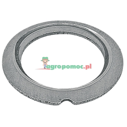  Pressure washer | 139300030010