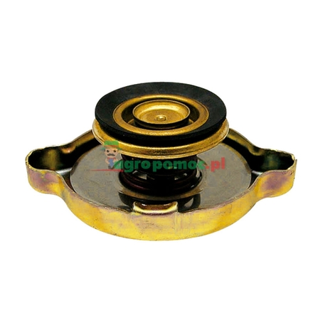  Radiator filler cap | 1500626C92