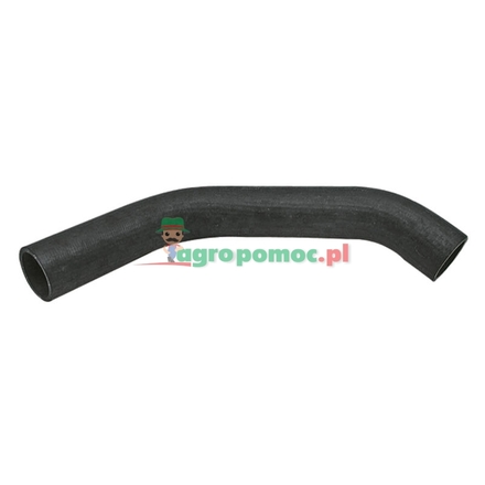  Radiator hose | 184299A1
