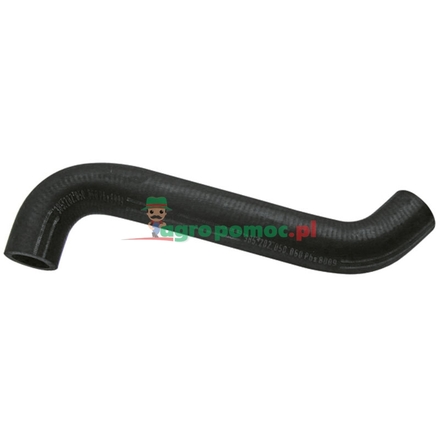  Radiator hose | 385202050060