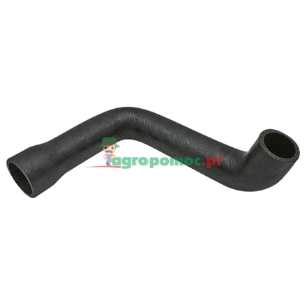  Radiator hose | 3384380M1