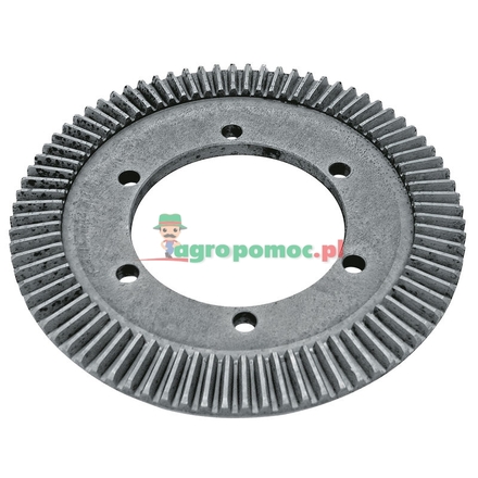  Ring gear | 261800031, 261800030