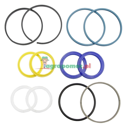  Seal kit | 247529A1