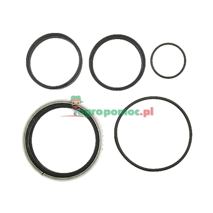  Seal kit | 50031